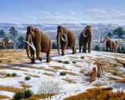 Feléleszthetik a gyapjas mamutokat egy 5.9 millió dolláros szibériai klónközpontban