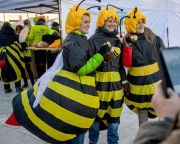 Alírásokat gyűjtöttek Bajorországban a rovarpusztulás feltartóztatásáért