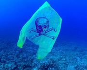 Megmentheti az óceánokat: percek alatt bomlik le a vízben az új típusú műanyag