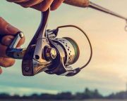 Horgászverseny és Halászléfőző verseny lesz Szászváron