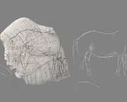 Lovat és más patásokat ábrázoló őskőkori vésetekre bukkantak Franciaországban