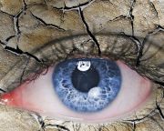 A száraz szem betegség gyógyítását segíti a Szegedi Tudományegyetemen folyó kutatás