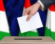 Önkormányzat 2019 - Október 13-ra tűzte ki a választásokat az államfő