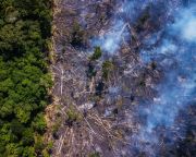 Az amazóniai erdőirtás jelentősen növeli a térség hőmérsékletét