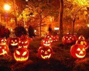 A halloweeni és a sütőtök közti különbségre hívja fel a figyelmet a NAK