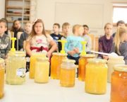 Csaknem kétszázezer gyermek kóstolt mézet a Mézes reggeli programban