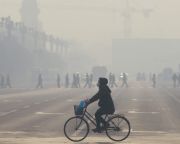 A szennyezett levegő növeli a túlsúly kockázatát