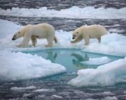 Már 2050 előtt jégmentes lehet nyáron a Jeges-tenger