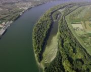 Katasztrófavédelem: a Duna alsó vonalán folytatódik a szúnyogirtás