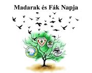 Madarak és fák napja - Online erdeiiskola-sorozat indul 