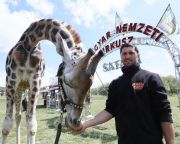 Nyit a Magyar Nemzeti Cirkusz Safari Parkja Szadán