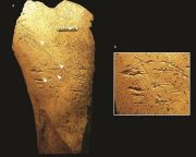 Európa legkorábbi ismert csonteszközeit azonosították brit régészek
