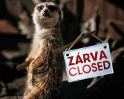 Rendkívüli támogatást kaphatnak a magánalapítású állatkertek