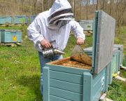 A méhészeti ágazat megsegítését sürgette a magyar agrárminiszter Brüsszelben