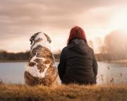 A kutyák meg tudják különböztetni az ember szándékos és véletlen tetteit