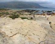 Emberfélétől származó hatmillió éves lábnyomokat találtak Kréta szigetén