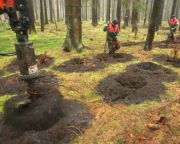  A települések még egy évig pályázhatnak erdőtelepítésre