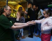 Több mint tízezer gyermek látogatott el a pécsi állatkert természettudományos élményközpontjába