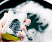 A mosogatószivacs a legjobb baktérium-táptalaj
