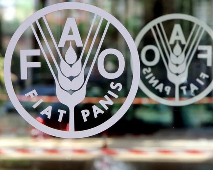 FAO: 8-22 százalékkal emelheti a globális élelmiszerárakat az orosz invázió hatása