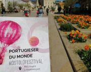 Nemzetközi portugieserszemlét és borkóstolót rendeznek Villányban és Pécsen