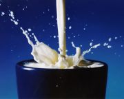 Jó hír a tejtermelőknek! – állapítja meg a Magyar Agrárkamara