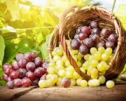 Agrárminisztérium: a tavalyinál jelentősen magasabb szőlőárak indokoltak