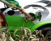 Élelmiszer válságot okoznak a bioüzemanyagok?