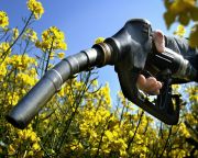 Problémák a bioüzemanyagokkal az EU-ban