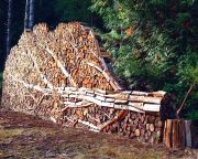 Támogatást kapnak tűzifa vásárlásához az önkormányzatok
