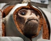 Egy majom az első iráni űrhajós?