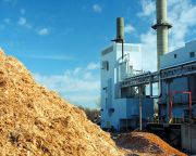 A biomassza eltékozlása katasztrófával fenyeget