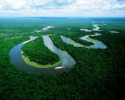 48 ezer kilométer út épült három év alatt a brazil esőerdőben