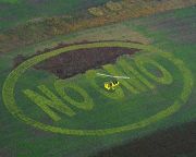 Magyarország továbbra is GMO-mentes marad