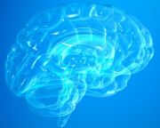 Működőképes 3D-s agyszövetet állítottak laboratóriumban elő
