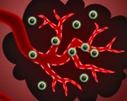 Vérsejteknek álcázott nanorészecskékkel gyógyítanának