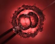 Úttörő módszerrel módosították humán embriók DNS-ét kínai tudósok 