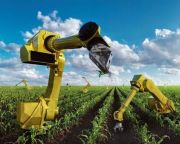 Trump miatt automatizálódik az amerikai mezőgazdaság