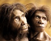 Jó hajós lehetett és valamiféle nyelvet is használhatott a Homo erectus 