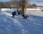 Megkezdődött a téli szezon a tavainkon (Ambrus József)