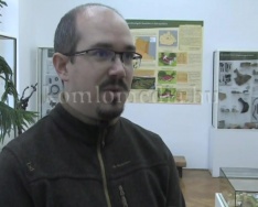 Szakmai fórumot tartottak a múzeumban (Dr. Henn Tamás)